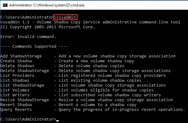 Running the vssadmin command